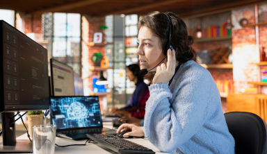 Providing online IT consultancy